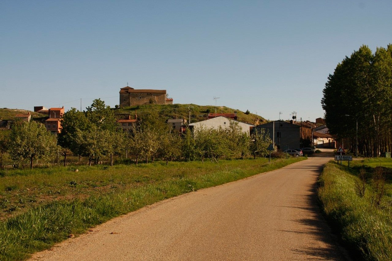 Arauzo de Torre