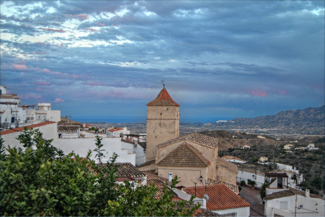 Bédar