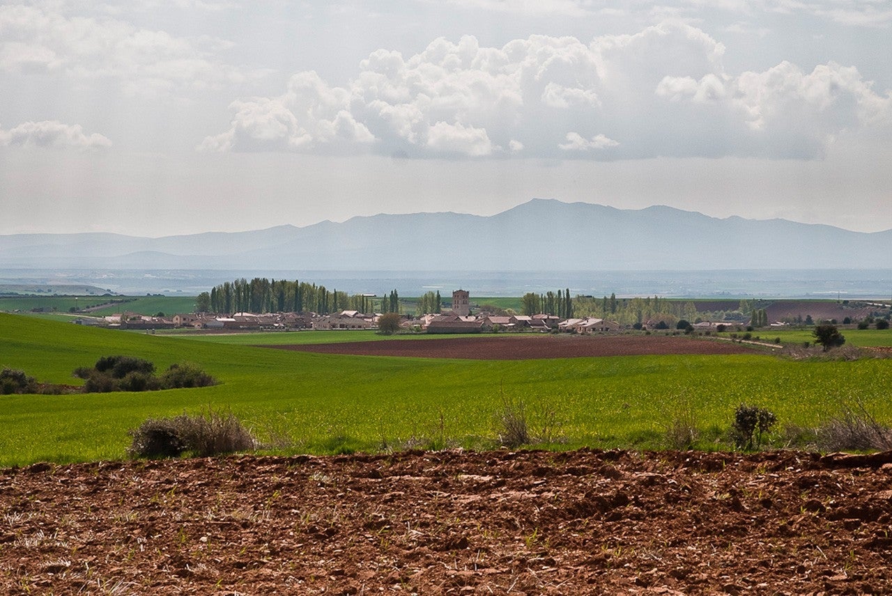 Cedillo de la Torre