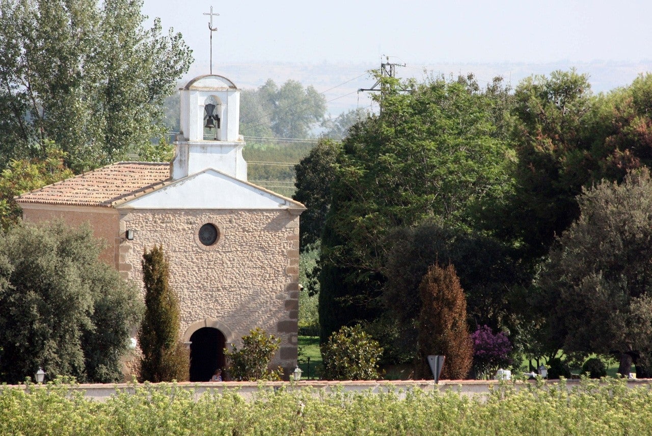 Torregrossa