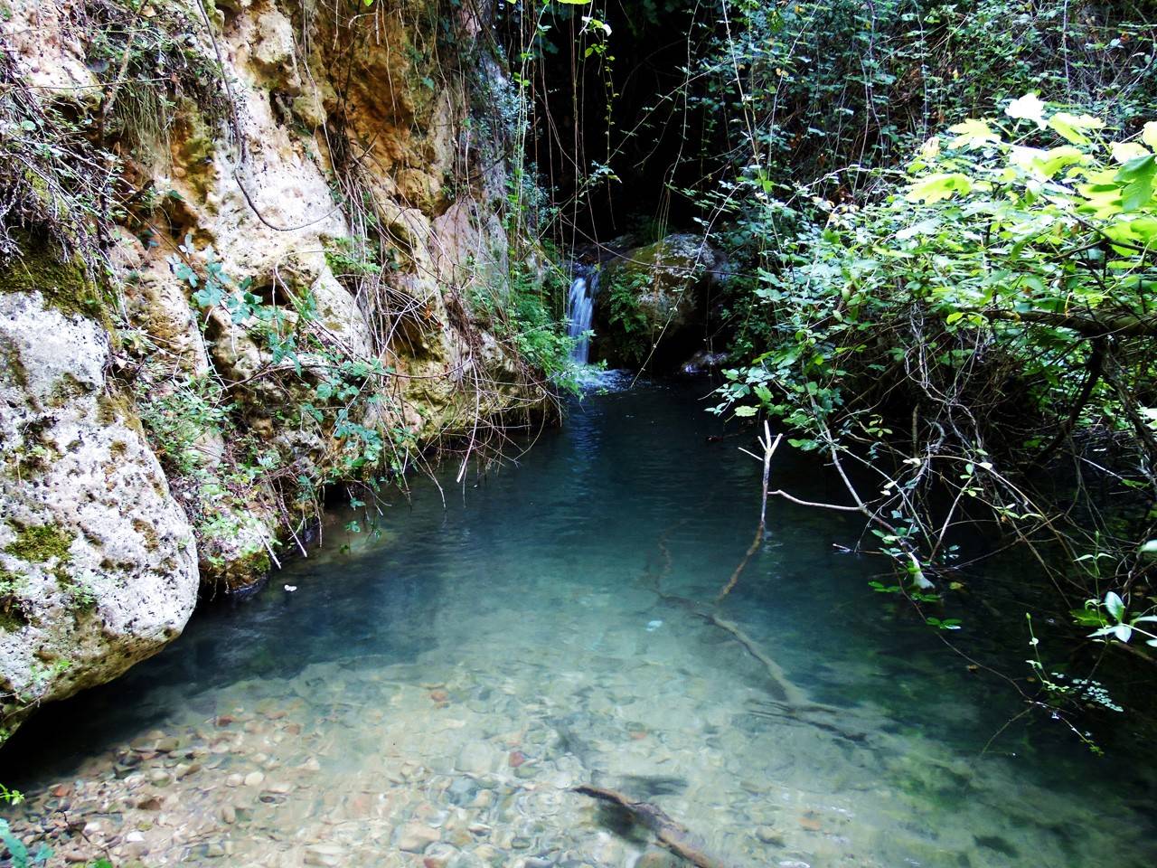Cotillas