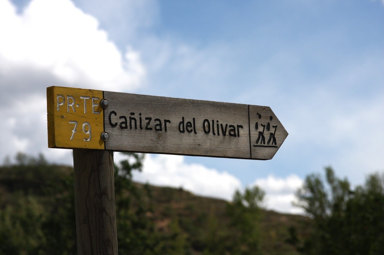 Cañizar del Olivar