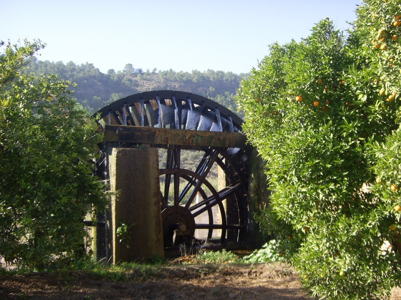 Abarán