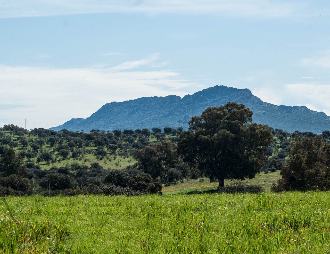Valdemanco del Esteras
